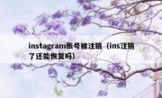 instagram账号被注销（ins注销了还能恢复吗）
