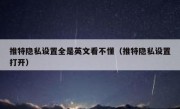 推特隐私设置全是英文看不懂（推特隐私设置打开）