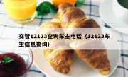 交管12123查询车主电话（12123车主信息查询）