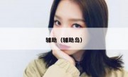 辅助（辅助岛）