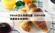 tiktok怎么获得流量（tiktok有流量就会变现吗）