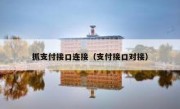 抓支付接口连接（支付接口对接）