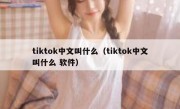 tiktok中文叫什么（tiktok中文叫什么 软件）