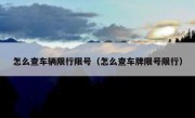 怎么查车辆限行限号（怎么查车牌限号限行）