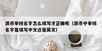 派币审核名字怎么填写才正确呢（派币中审核名字是填写中文还是英文）