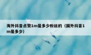 海外抖音点赞1m是多少粉丝的（国外抖音1m是多少）
