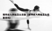 推特进入网站怎么设置（推特进入网站怎么设置密码）