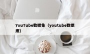 YouTube数据集（youtube数据库）