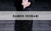 怎么搞代付（代付怎么用）
