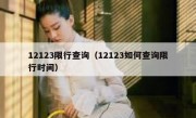 12123限行查询（12123如何查询限行时间）
