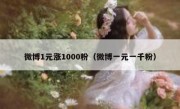 微博1元涨1000粉（微博一元一千粉）