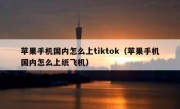 苹果手机国内怎么上tiktok（苹果手机国内怎么上纸飞机）