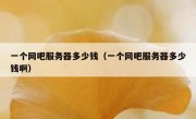 一个网吧服务器多少钱（一个网吧服务器多少钱啊）