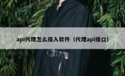 api代理怎么接入软件（代理api接口）