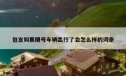 包含如果限号车辆出行了会怎么样的词条