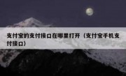 支付宝的支付接口在哪里打开（支付宝手机支付接口）