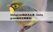 instagram贴纸怎么用（instagram贴纸在哪里找）