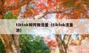 tiktok如何做流量（tiktok流量池）