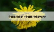 今日限行成都（今日限行成都时间）