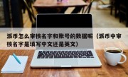 派币怎么审核名字和账号的数据呢（派币中审核名字是填写中文还是英文）