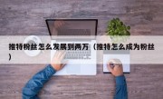 推特粉丝怎么发展到两万（推特怎么成为粉丝）