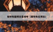 推特有趣博主是谁呀（推特有名博主）