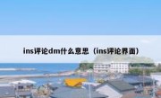 ins评论dm什么意思（ins评论界面）
