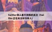 twitter别人看不到我的关注（twitter正在关注却没有人）