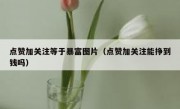 点赞加关注等于暴富图片（点赞加关注能挣到钱吗）