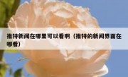 推特新闻在哪里可以看啊（推特的新闻界面在哪看）