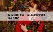 12123限行查询（12123交管官网查询今日限行）