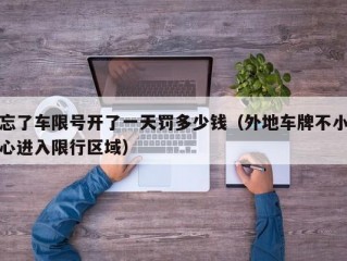 忘了车限号开了一天罚多少钱（外地车牌不小心进入限行区域）