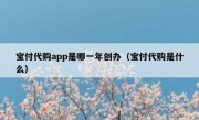 宝付代购app是哪一年创办（宝付代购是什么）