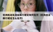 杭州机动车违反限行规定如何处罚（杭州违法限行规定怎么处罚）
