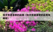 快手快速涨赞的应用（快手快速涨赞的应用有哪些）