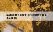 ins粉丝数千是多少（ins粉丝数千是多少人民币）