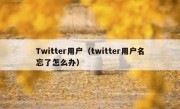 Twitter用户（twitter用户名忘了怎么办）