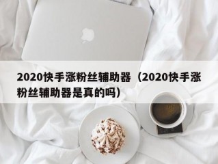 2020快手涨粉丝辅助器（2020快手涨粉丝辅助器是真的吗）