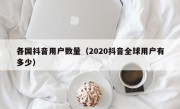 各国抖音用户数量（2020抖音全球用户有多少）