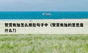 赞赏有加怎么用在句子中（赞赏有加的意思是什么?）