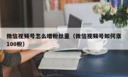 微信视频号怎么增粉丝量（微信视频号如何涨100粉）