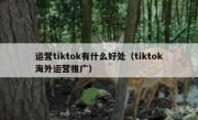运营tiktok有什么好处（tiktok海外运营推广）