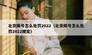 北京限号怎么处罚2022（北京限号怎么处罚2022规定）
