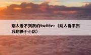 别人看不到我的twitter（别人看不到我的快手小店）