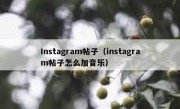 Instagram帖子（instagram帖子怎么加音乐）