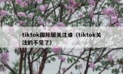 tiktok国际版关注谁（tiktok关注的不见了）