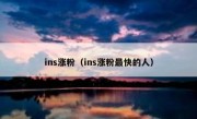 ins涨粉（ins涨粉最快的人）