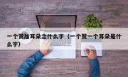 一个赞加耳朵念什么字（一个赞一个耳朵是什么字）
