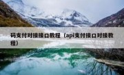 码支付对接接口教程（api支付接口对接教程）