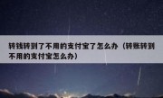 转钱转到了不用的支付宝了怎么办（转账转到不用的支付宝怎么办）